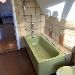 Grønt badeværelse står foran total renovering