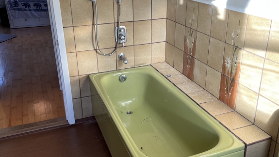 Grønt badeværelse står foran total renovering
